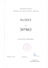 PATENT 307863