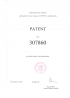 PATENT 307860