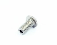 Check Tube Screw