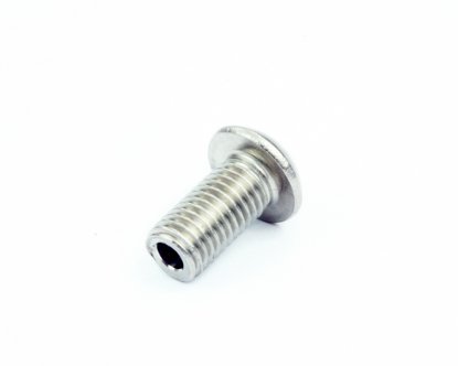 Check Tube Screw 