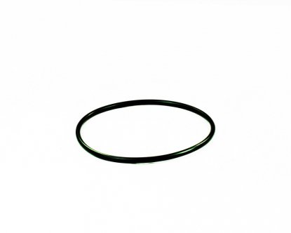 Back-up O-ring 