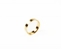 Check Valve Support Ring Check Valve Support Ring