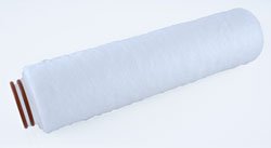 Filter Cartridge 10 Micron 10, 222/Flat Cap Style 